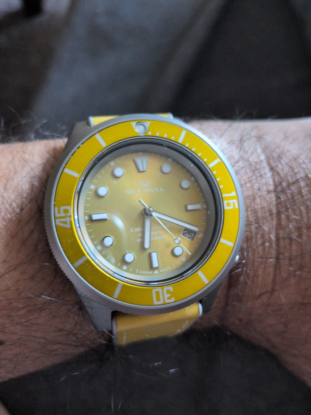 Customer photo review of Ocean Series | Colorful | Titanium Alloy | 200M WR | Extra Strap | 41mm