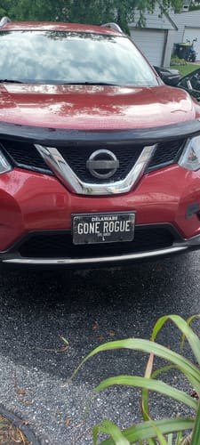 Customer's Delaware Blackout Metal License Plate, customized with 'GONE ROGUE', shown on the front of a red car.