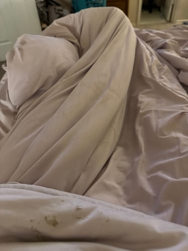 Customer photo review of CloudCool™ Cooling Comforter