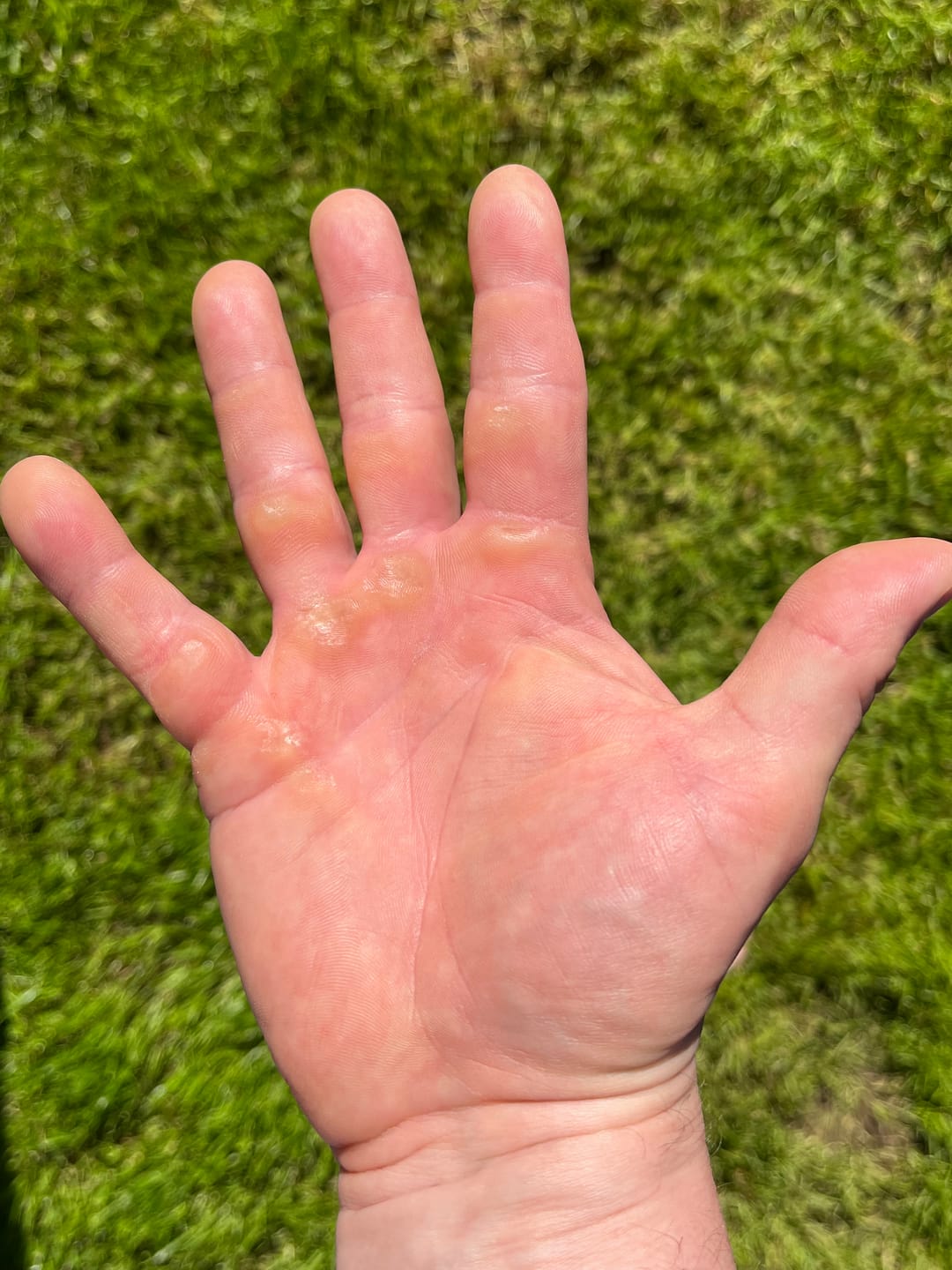 Customer photo review of Rhino Repair - Cream