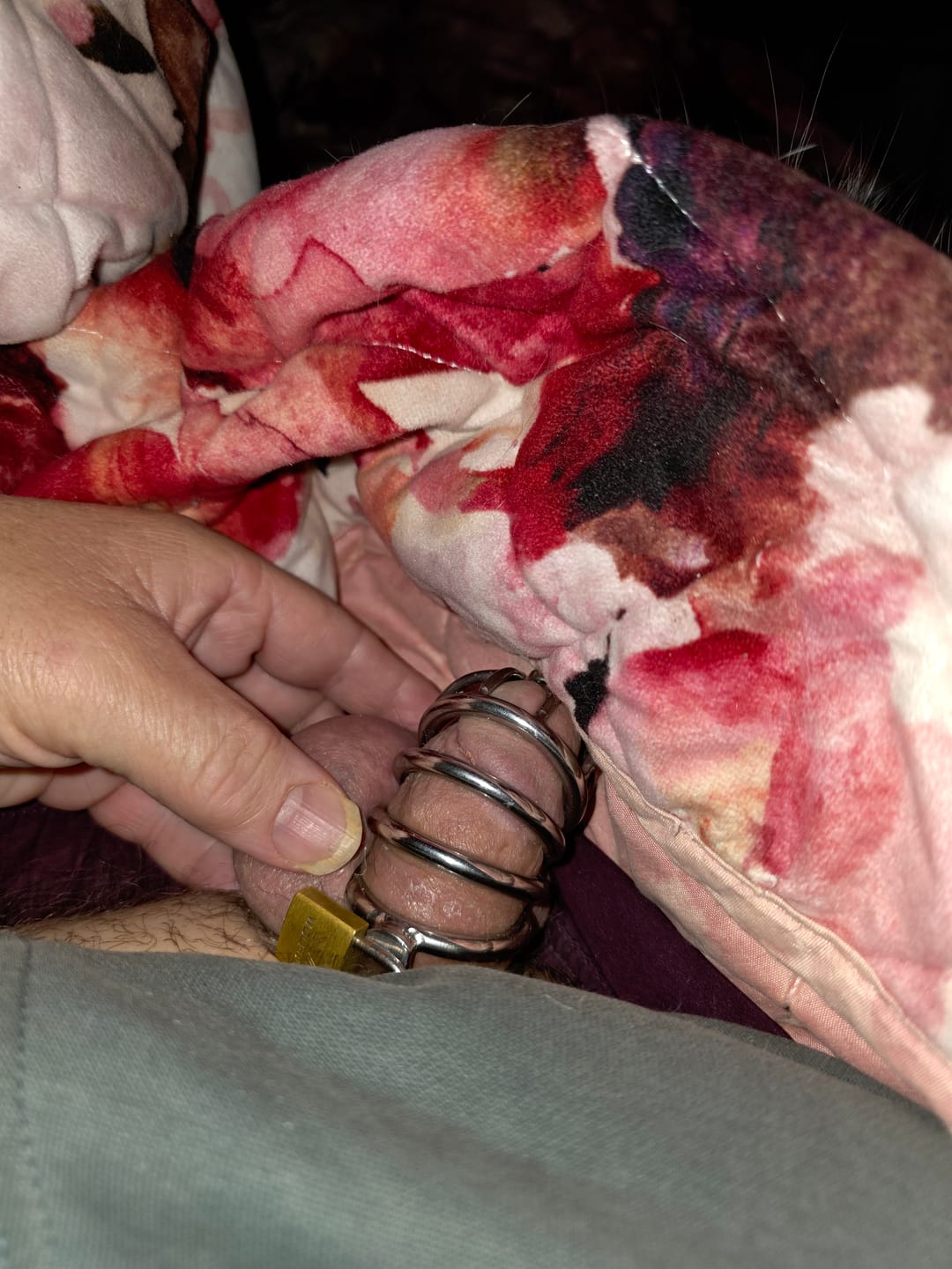 Customer photo review of The Asylum Chastity Device