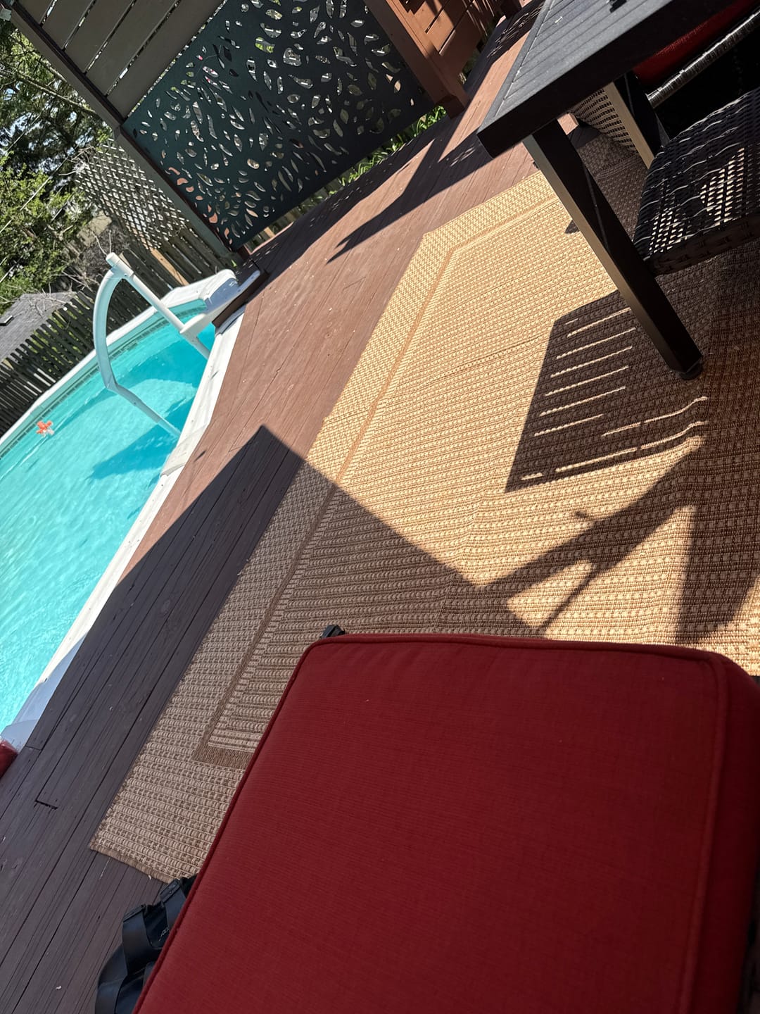 Customer photo review of Willow Lane Indoor/Outdoor Rug - Brown