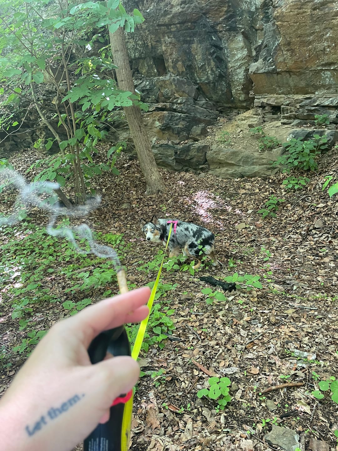 Customer photo review of Cookies N’ Cream Pre-Roll