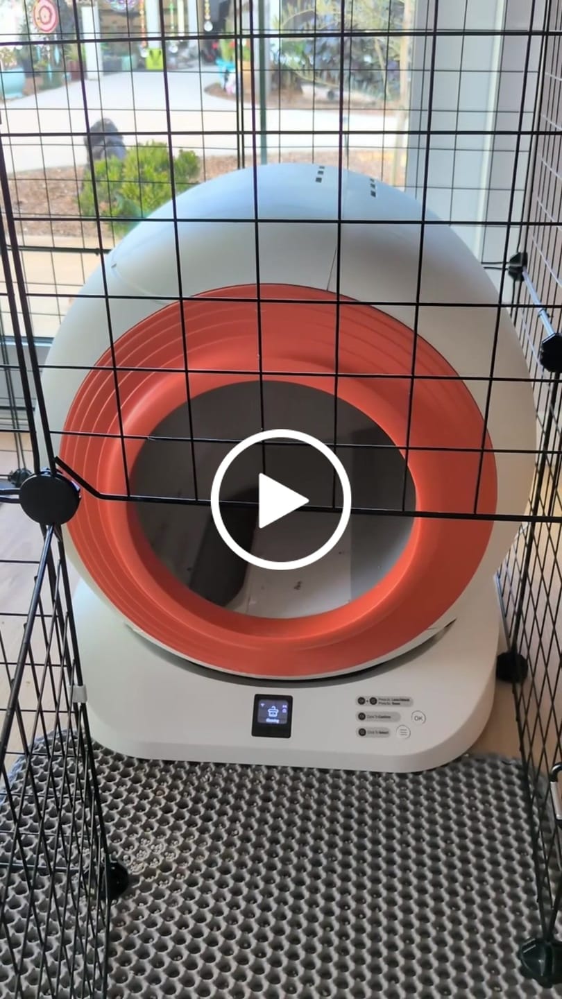 Customer video review of The Petbuds Tonepie Q-CLEAN Automatic Self-Cleaning Litter Box