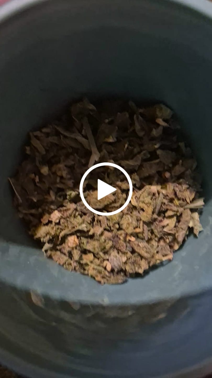 Customer video review of Exotic Shake
