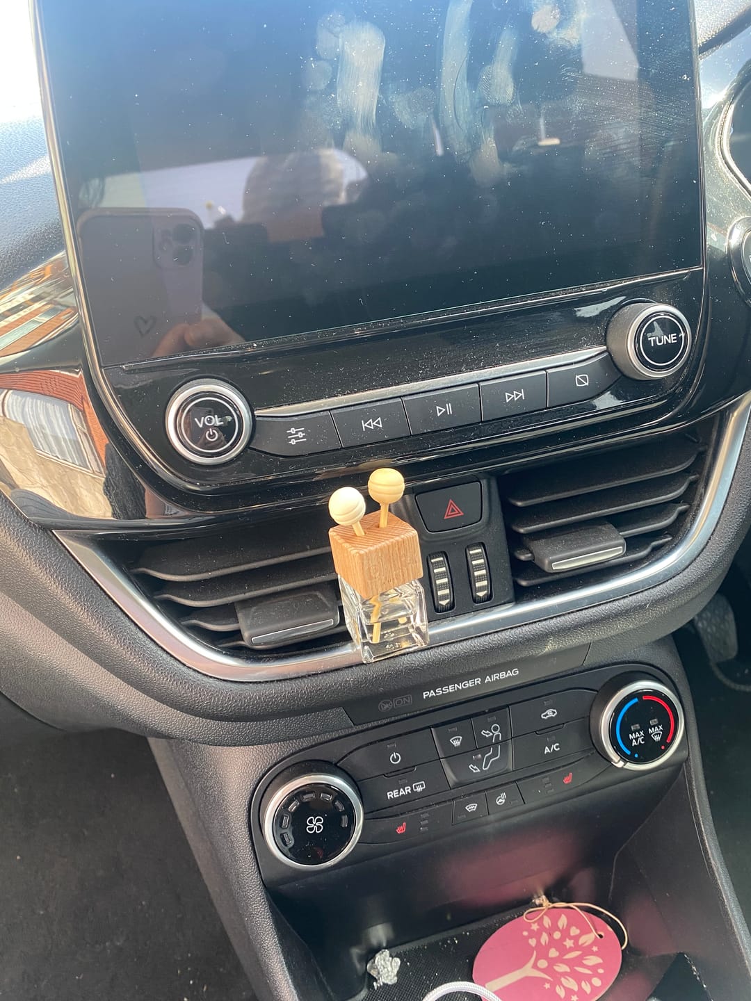 Customer photo review of Snow Fairies Car Diffuser