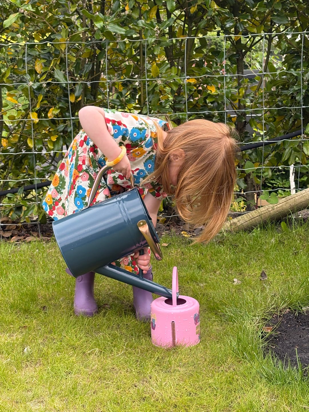 Customer photo review of Flora And Fauna Button Through Short Sleeve Dress
