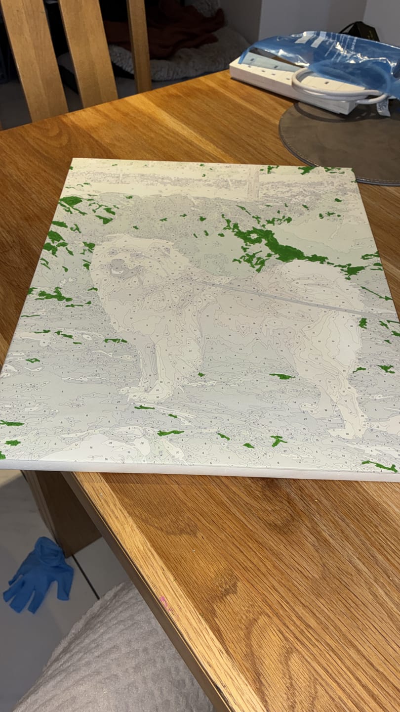 Customer photo review of Custom Kit | Paint by Numbers