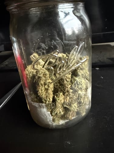 Customer photo review of Gorilla Glue THCA Flower