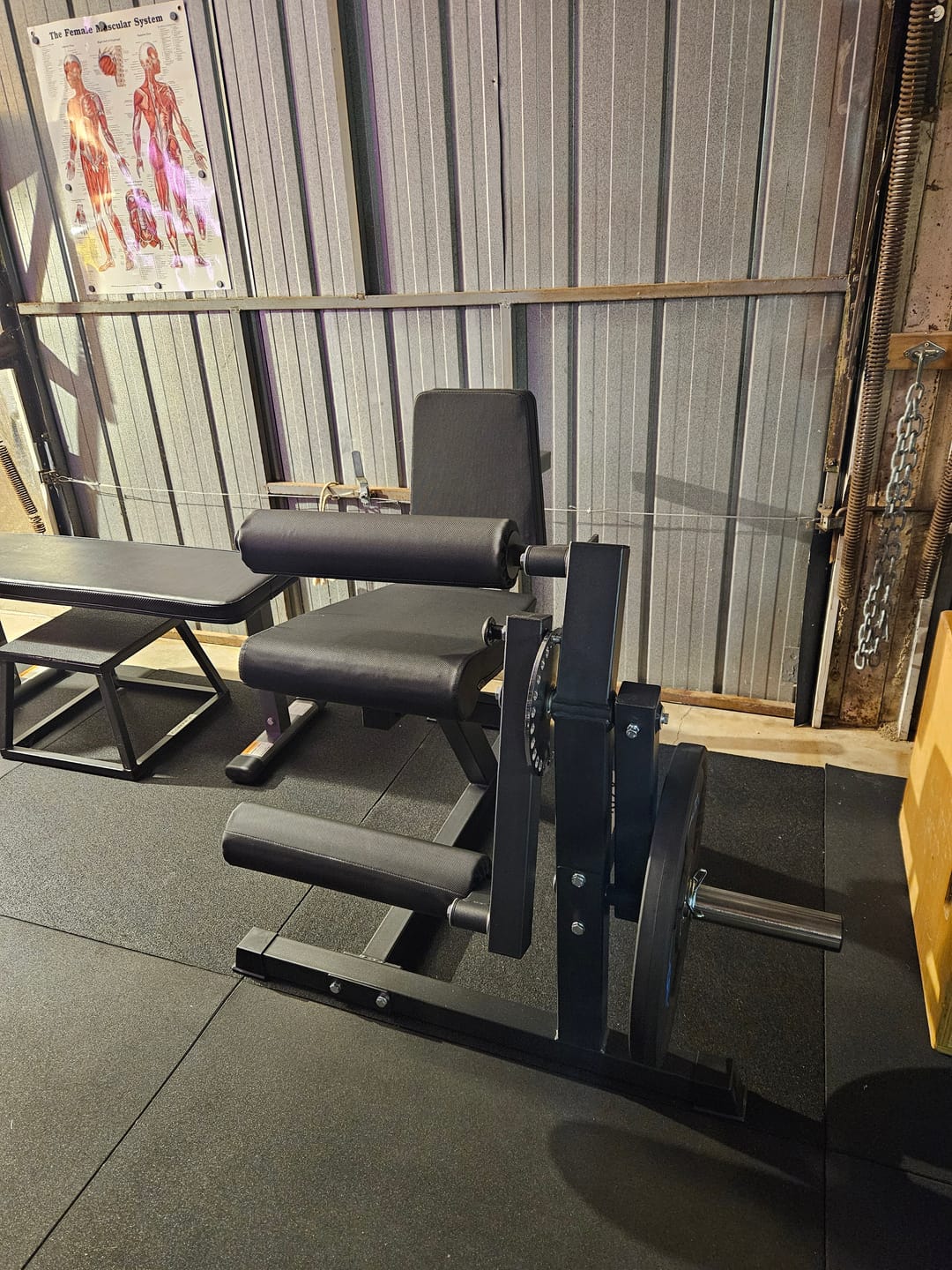 Customer photo review of BRIXX Plate-Loaded Leg Extension & Curl Machine