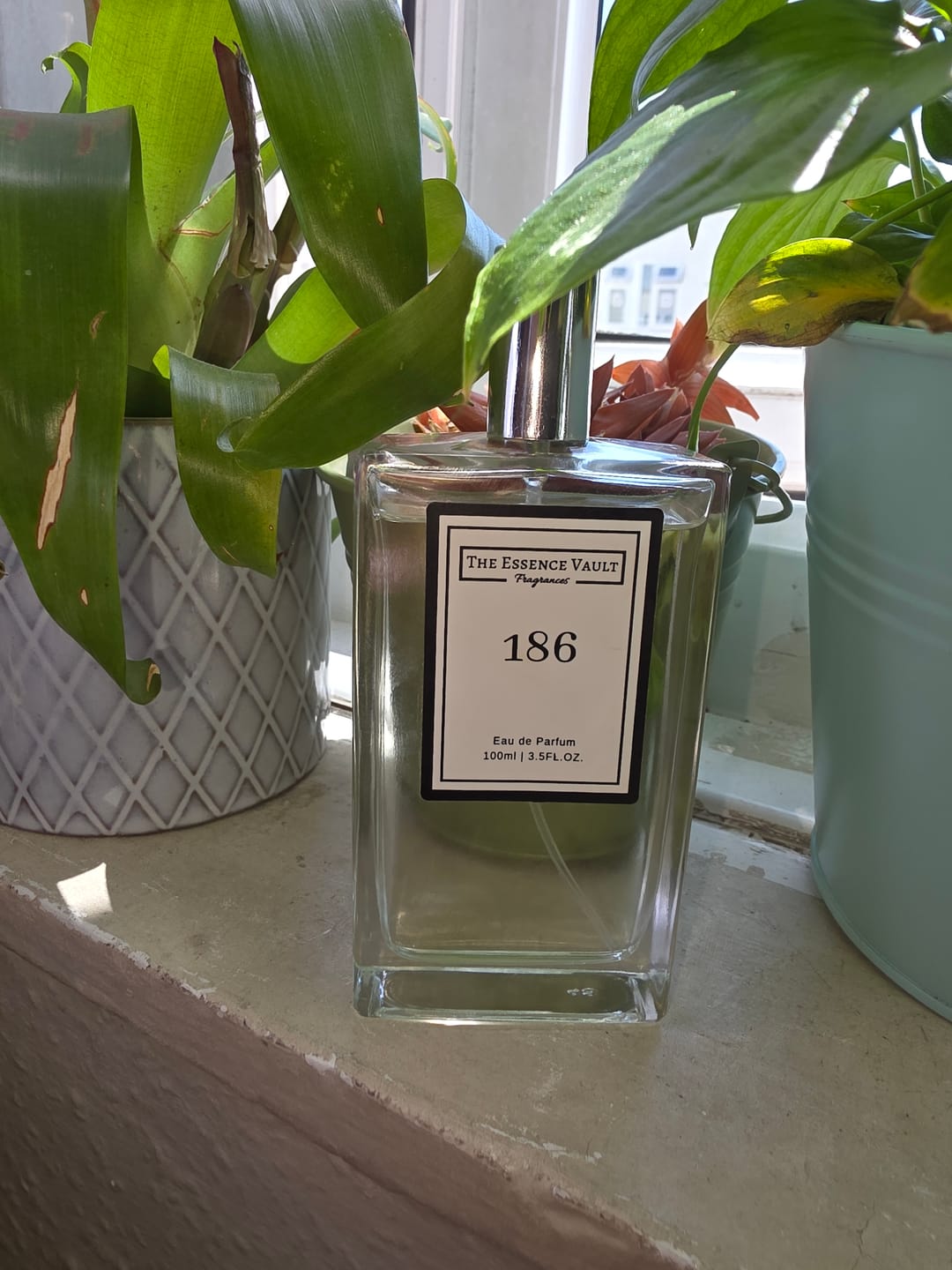 Customer photo review of Inspired by Halfeti - 186