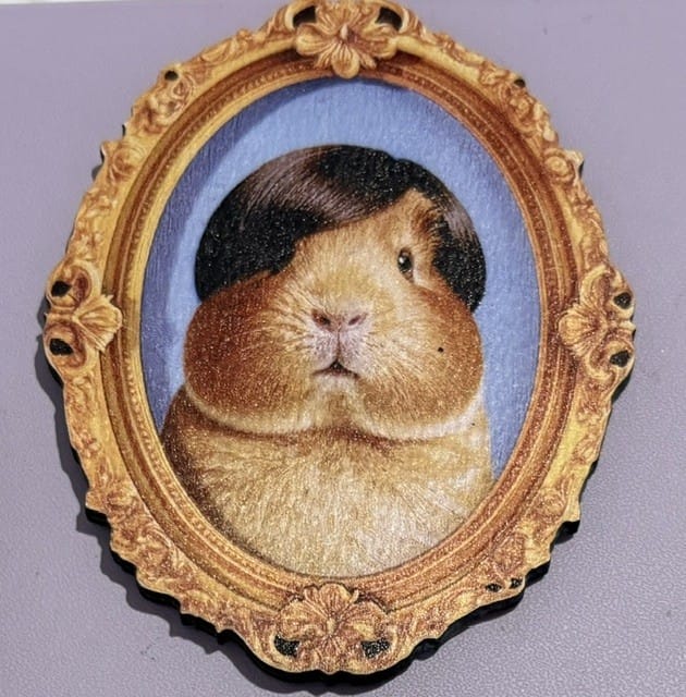 Customer photo review of Side Bangs Guinea Pig Fridge Magnet