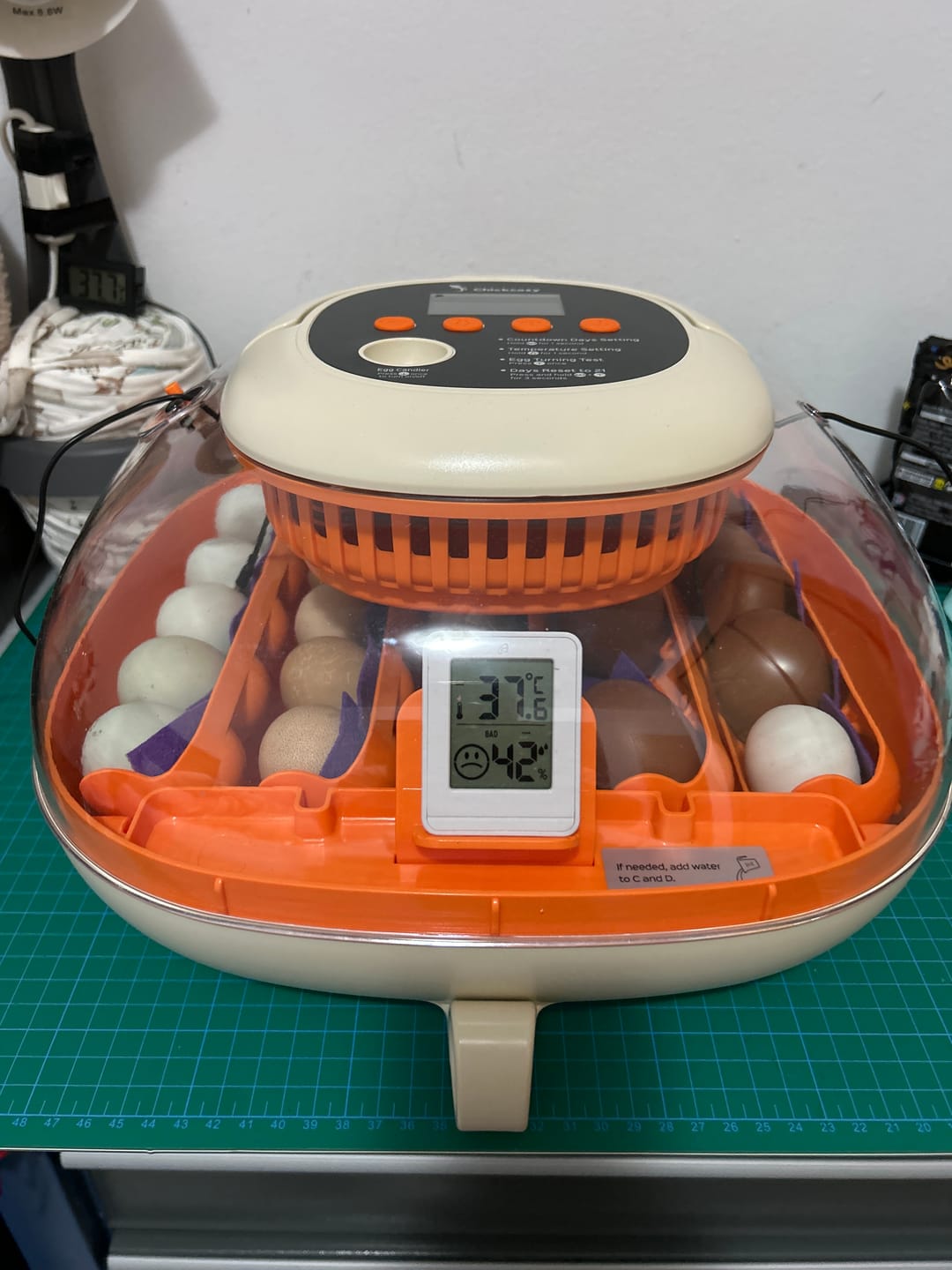Customer photo review of Egg Incubator -25 Egg Capacity