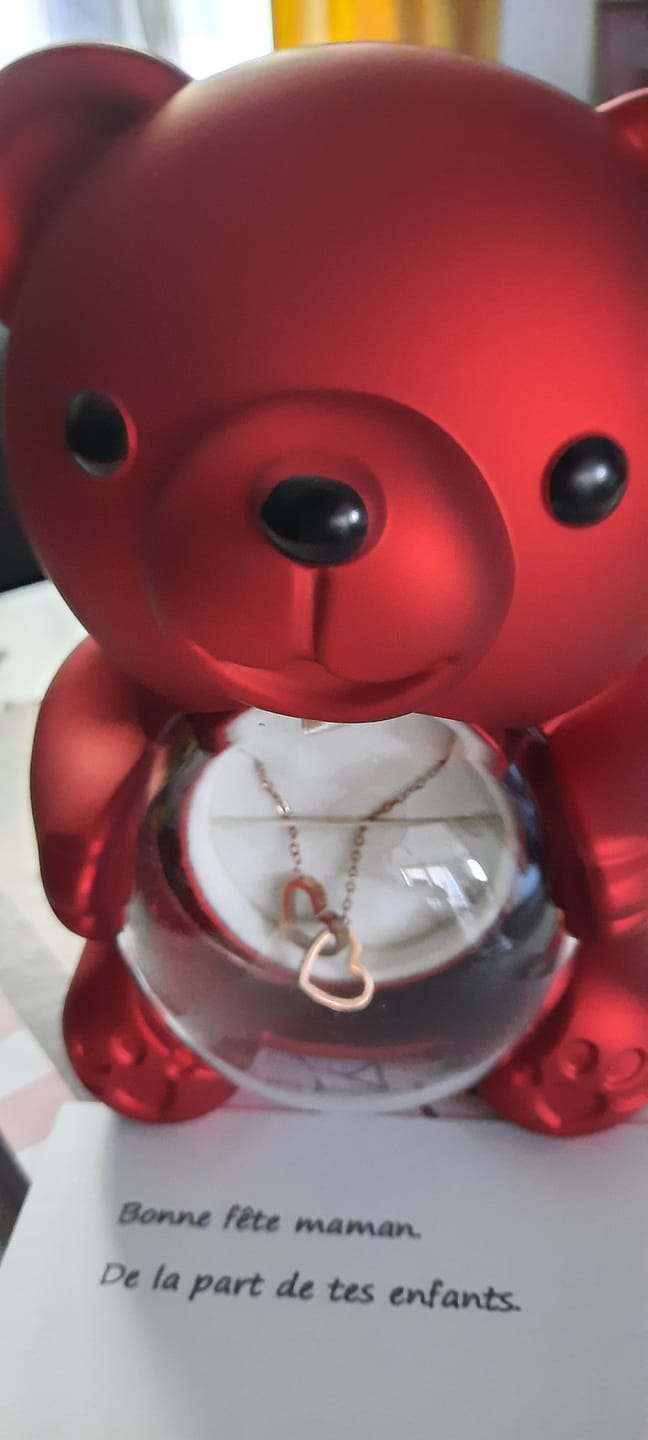 Customer photo review of Eternal Rose Bear & Personalized Necklace