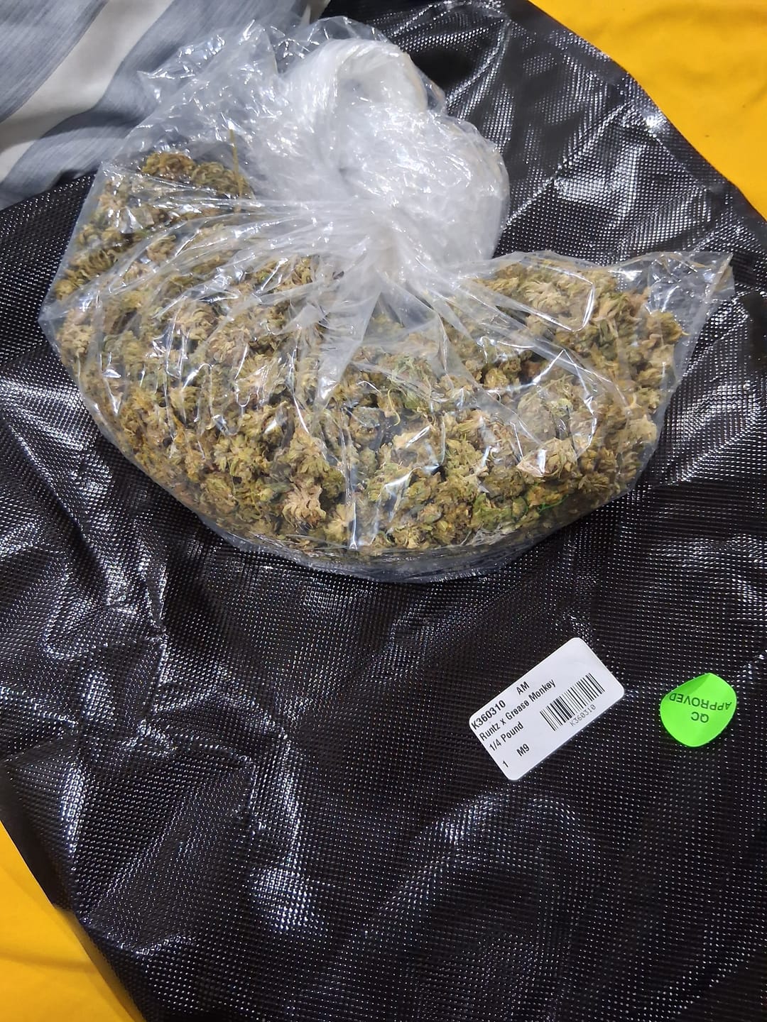 Customer photo review of Super Runtz Mediums - Bulk Mediums - Hybrid