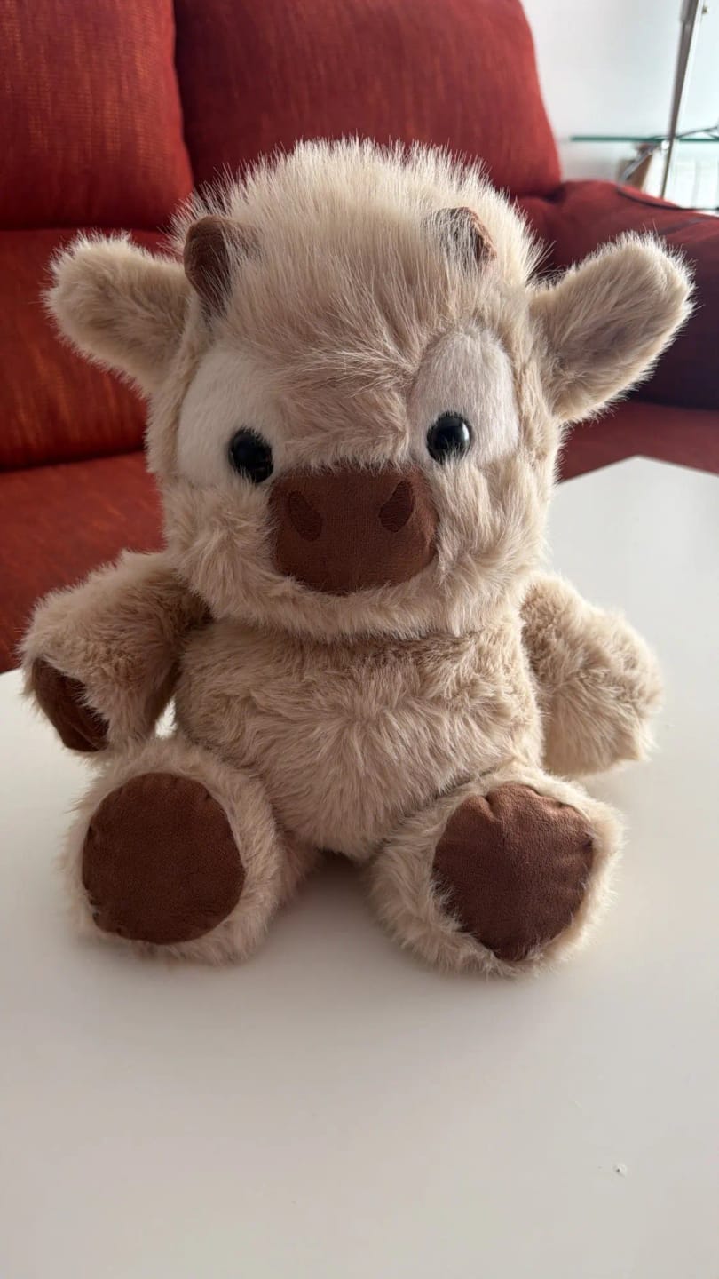 Customer photo review of Coco-Hug™ El peluche que corre