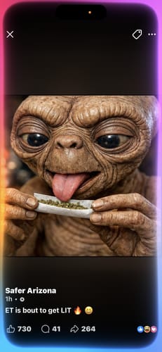 Tropicana Cookies - Pack of Pre-Rolls (10 Pack) - Sativa photo review