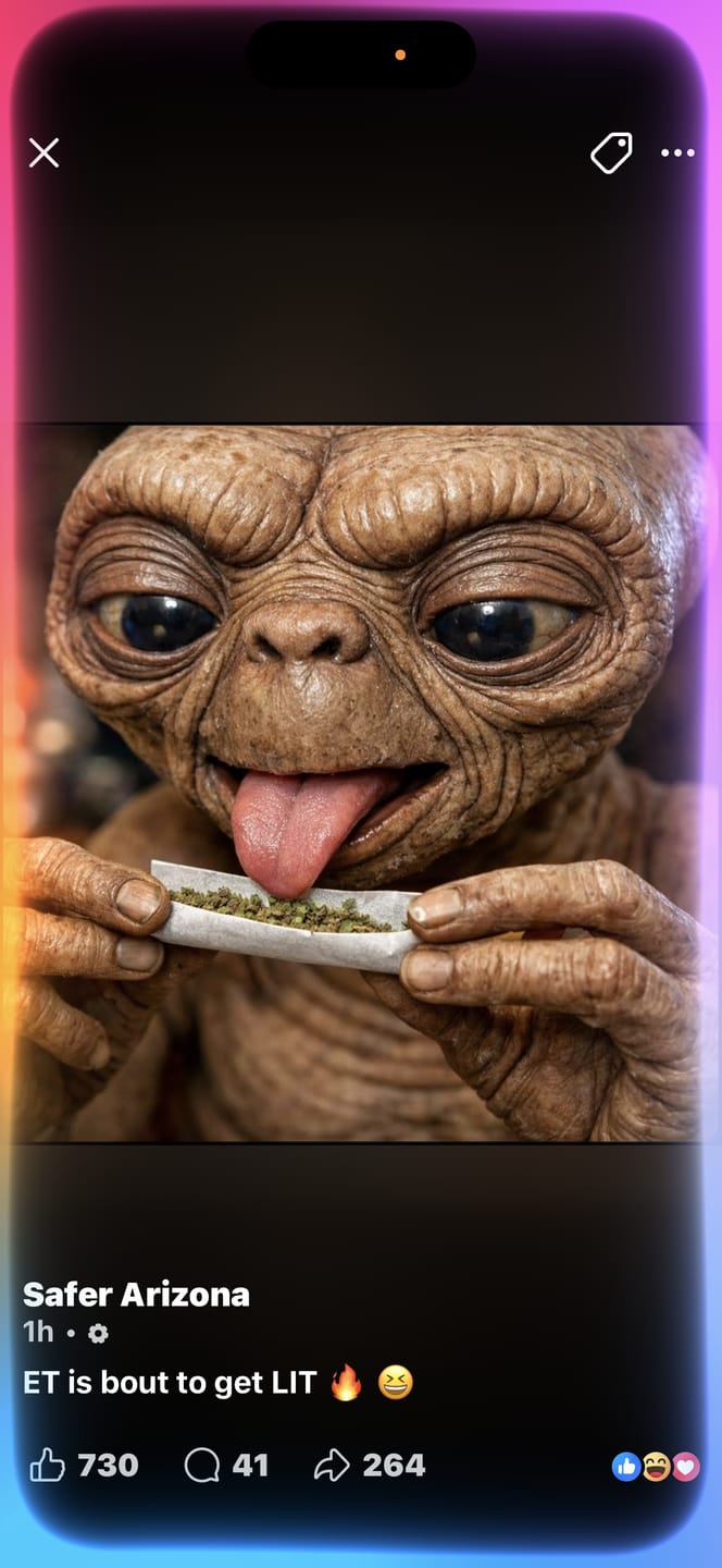 Customer photo review of Tropicana Cookies - Pack of Pre-Rolls (10 Pack) - Sativa