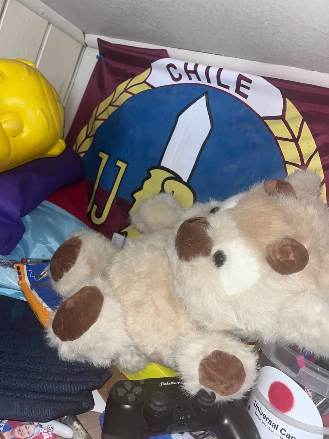 Customer photo review of Coco-Hug™ El peluche que corre