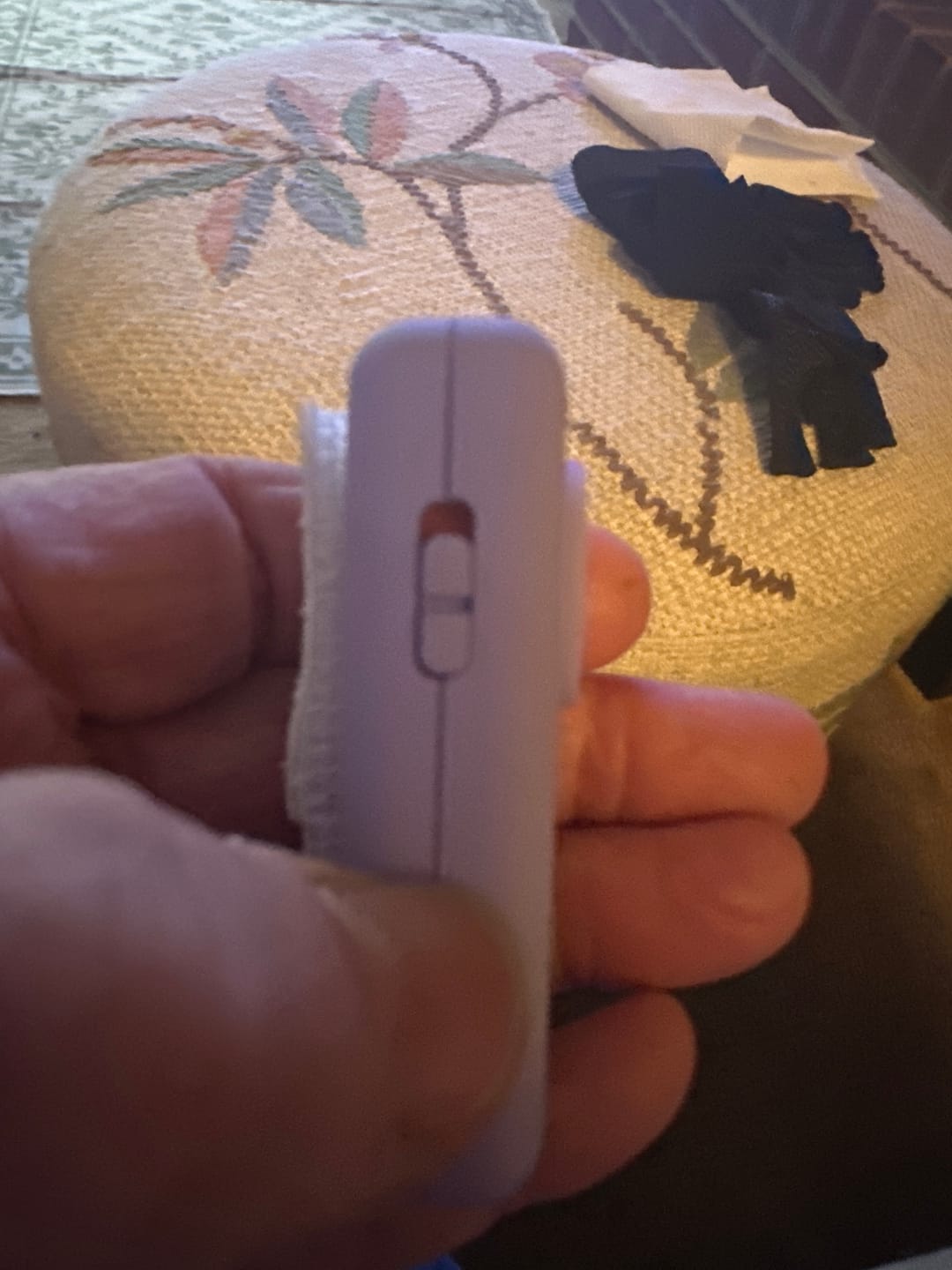 Customer photo review of Birdie Box
