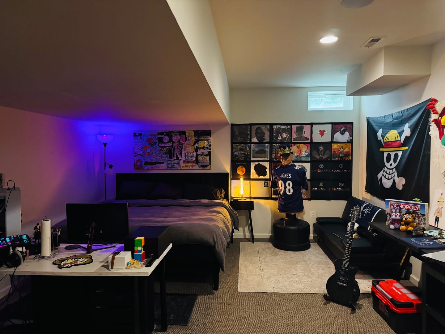 Customer photo review of 12" Vinyl Record Display Frame - LP Wall Storage
