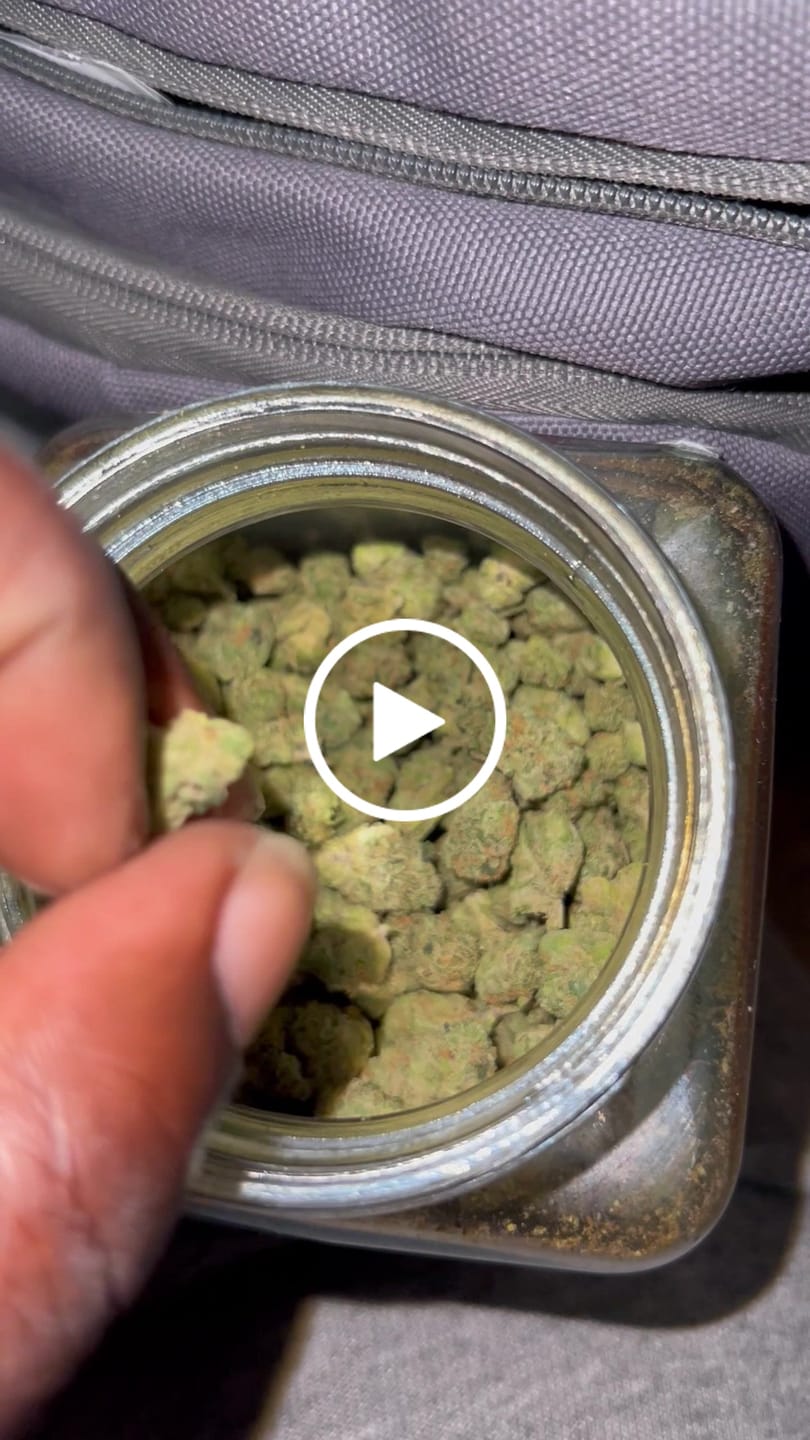 Customer video review of Value Indoor Smalls