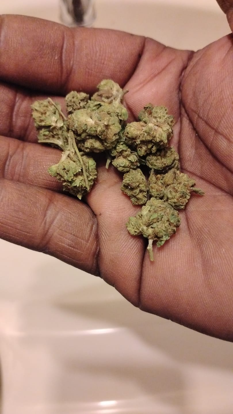 Customer photo review of True OG - Minis - 28 Grams - Indica