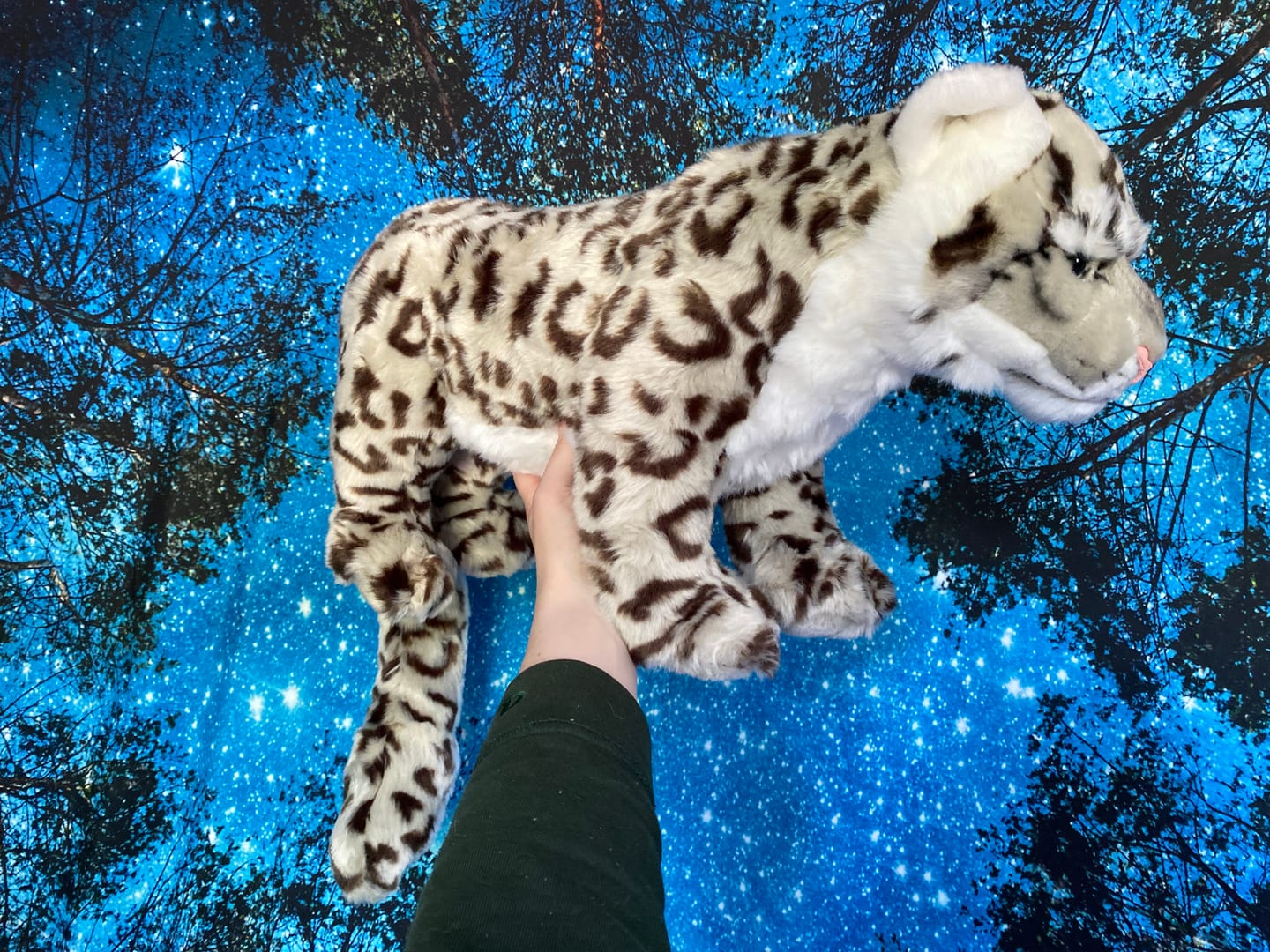 Customer photo review of Snow Leopard Cat Soft Stuffed Plush Toy