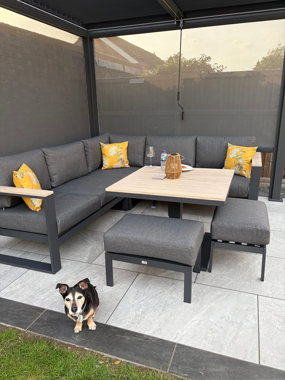 Customer photo review of Outdoor Garden Waterproof Cushion - Bird on Elderflower