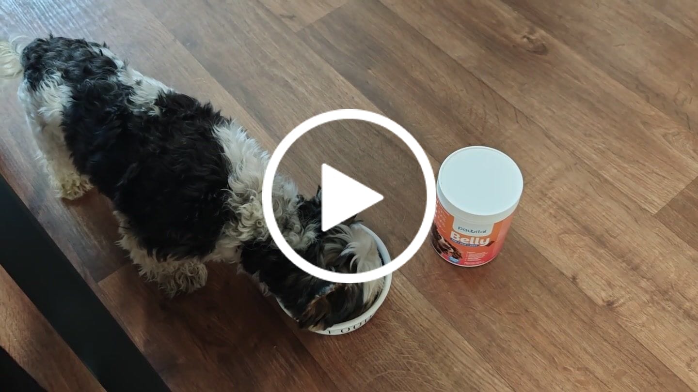 Customer video review of Belly Biotics (jar) €24,90