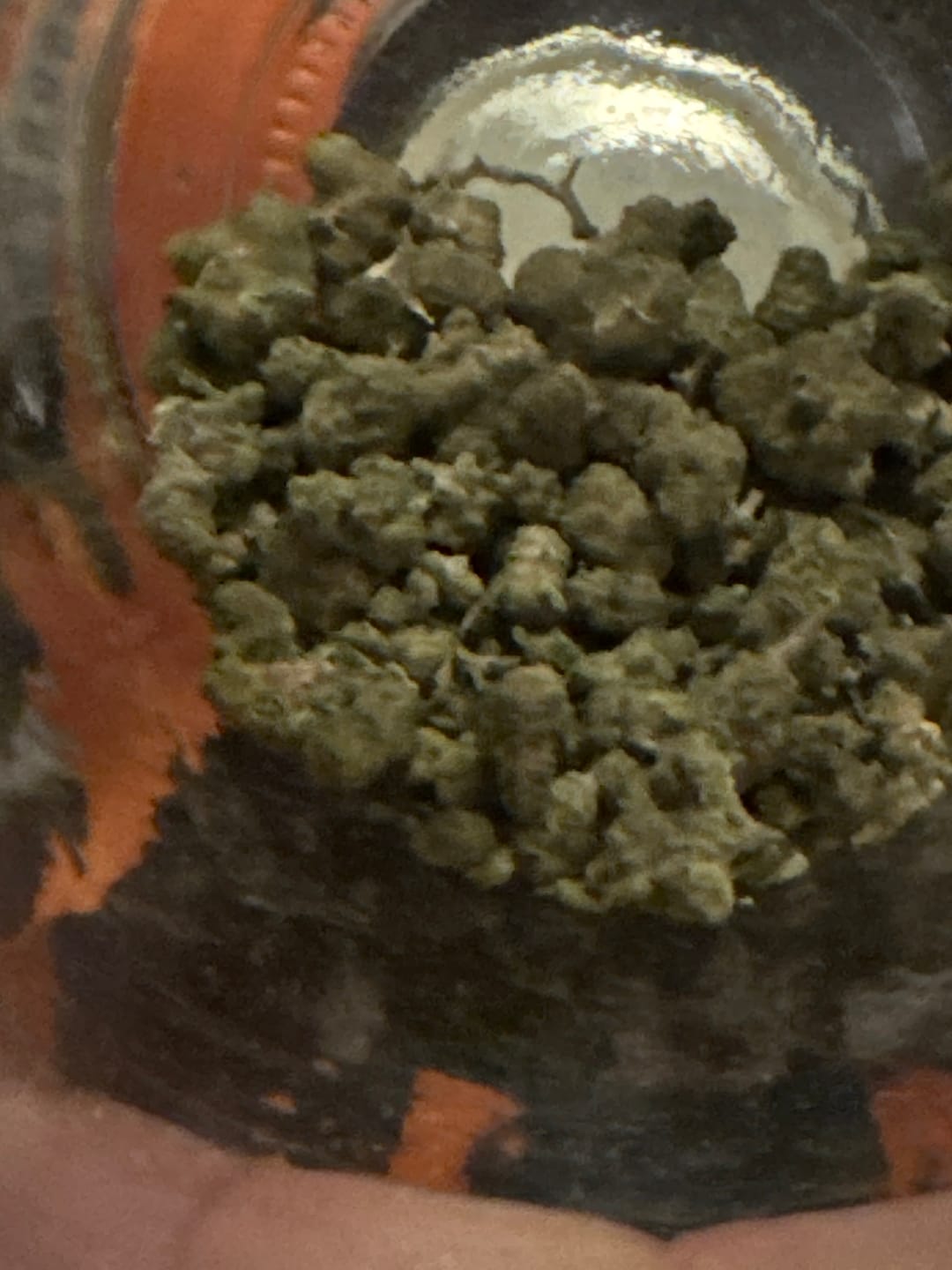 Customer photo review of Purple Jack - 28 Grams Littles - Hybrid
