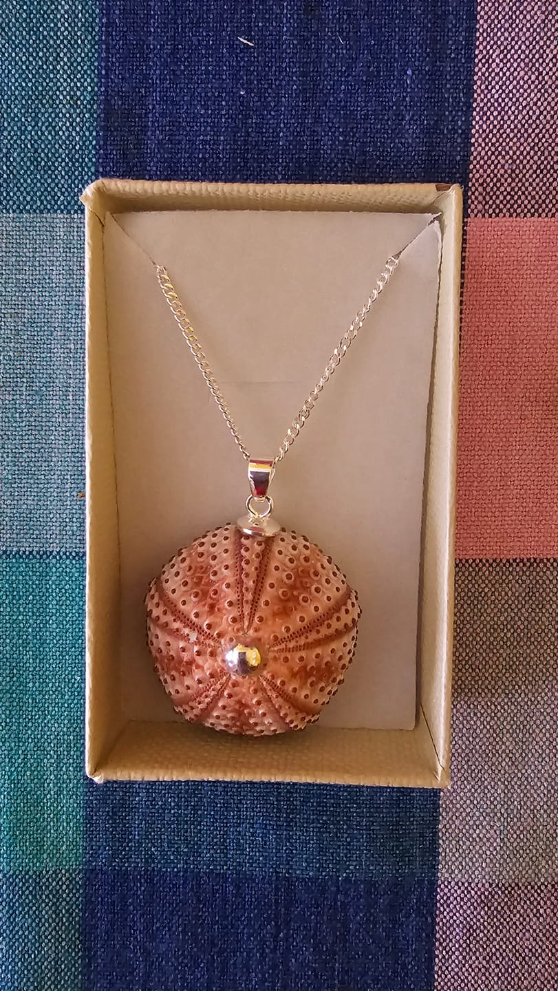 Customer photo review of Colgante Erizo Rosa Natural Mediano