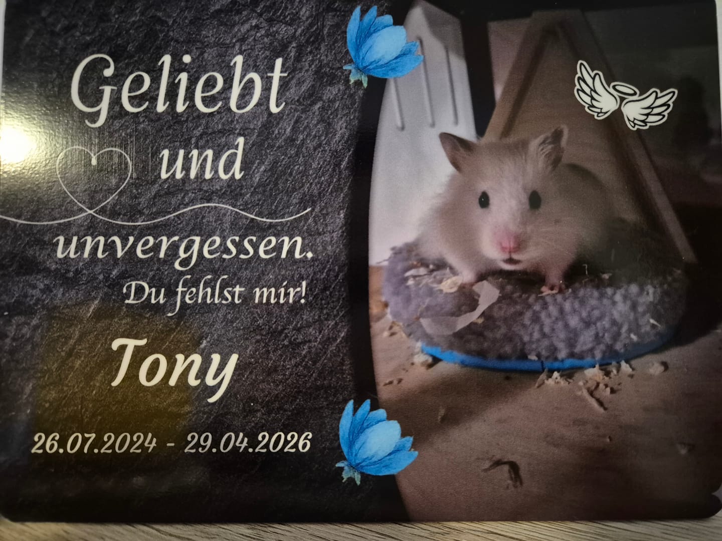 Customer photo review of Hunde Gedenktafel mit Foto & Spruch (UV- &  Wetterfest)