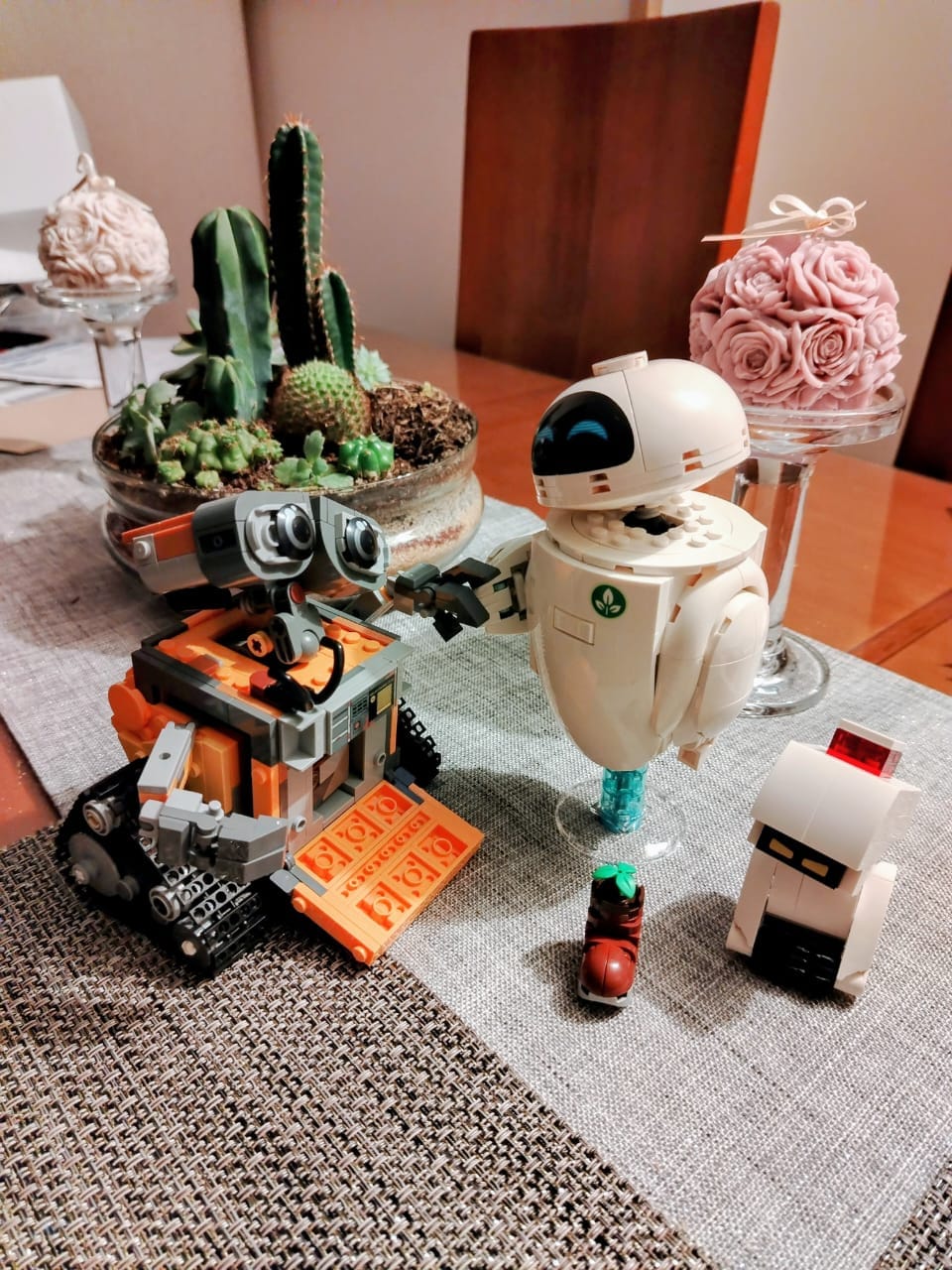 Customer photo review of WALL-E Y EVE