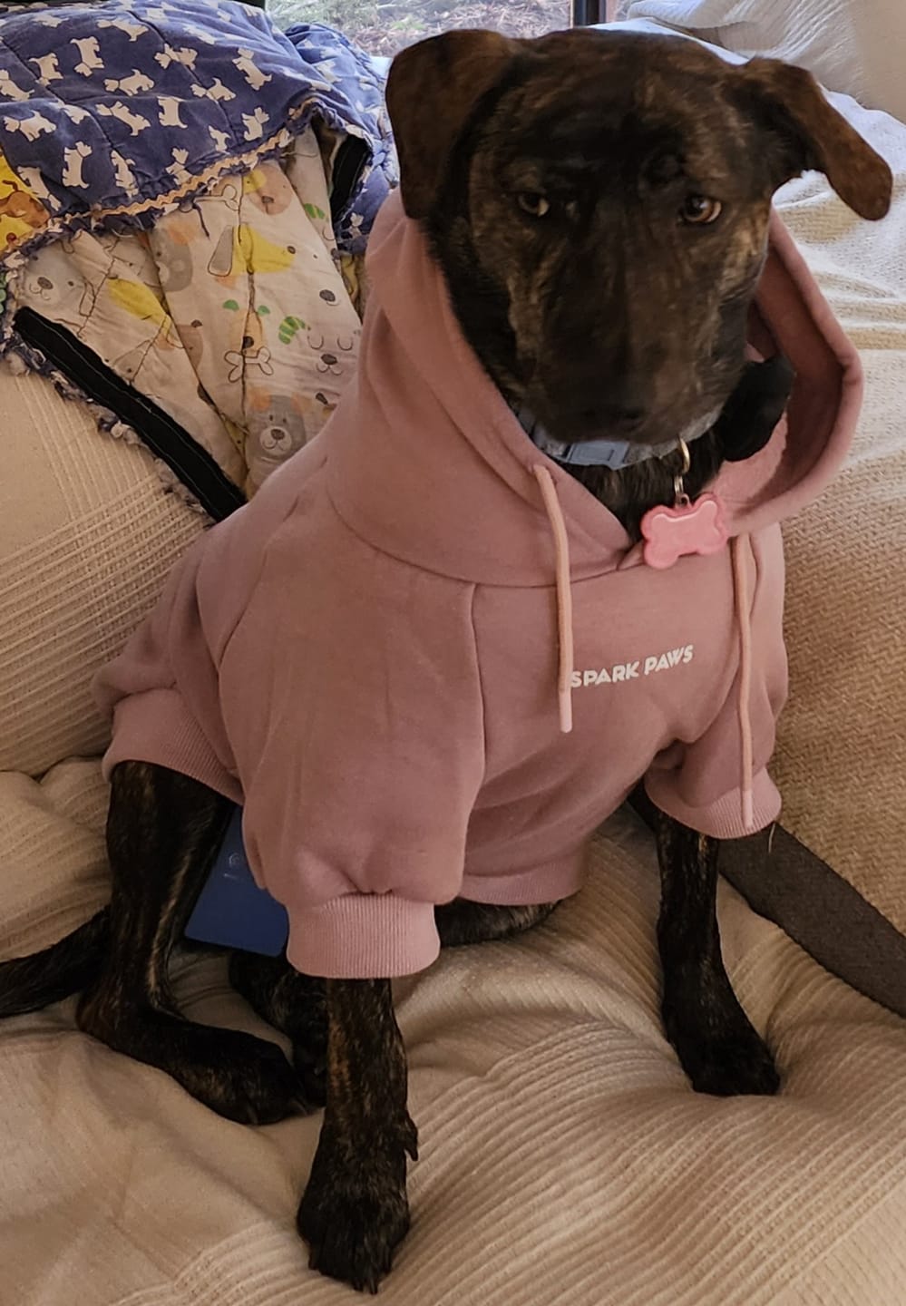 Customer photo review of Essential Dog Hoodies