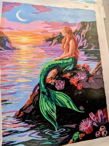 Customer photo review of Sunset Mermaid Dream