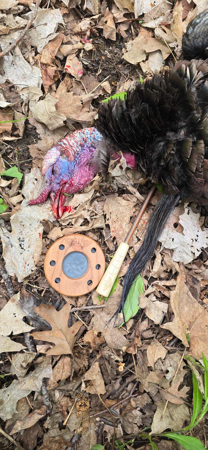 Customer photo review of All Weather Striker