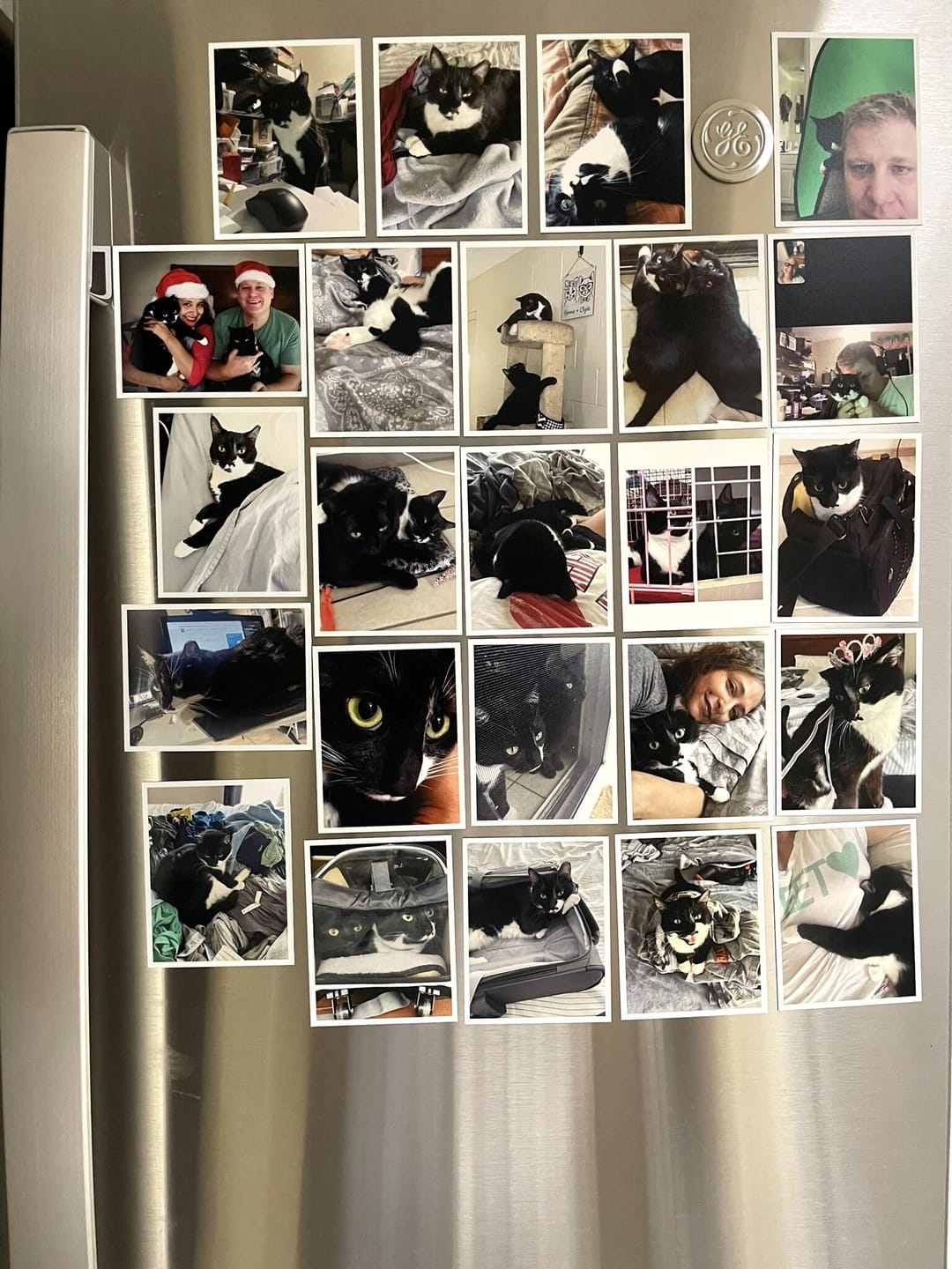 Customer photo review of Custom Photo Magnets