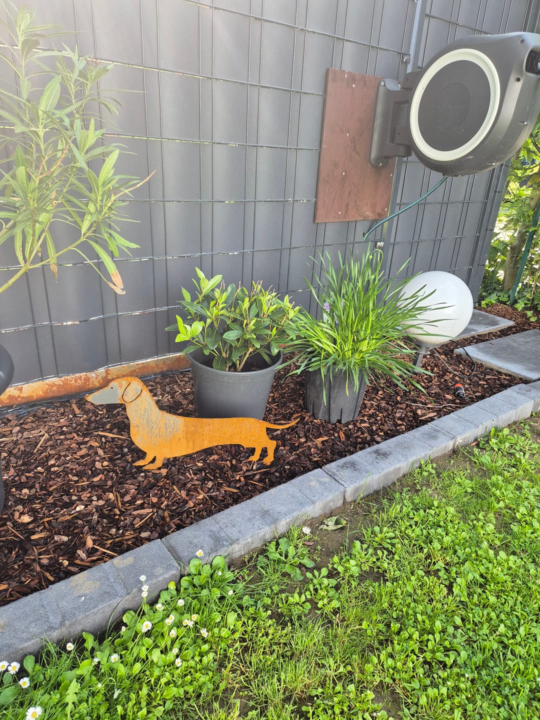 Customer photo review of Gartenstecker Kurzhaardackel