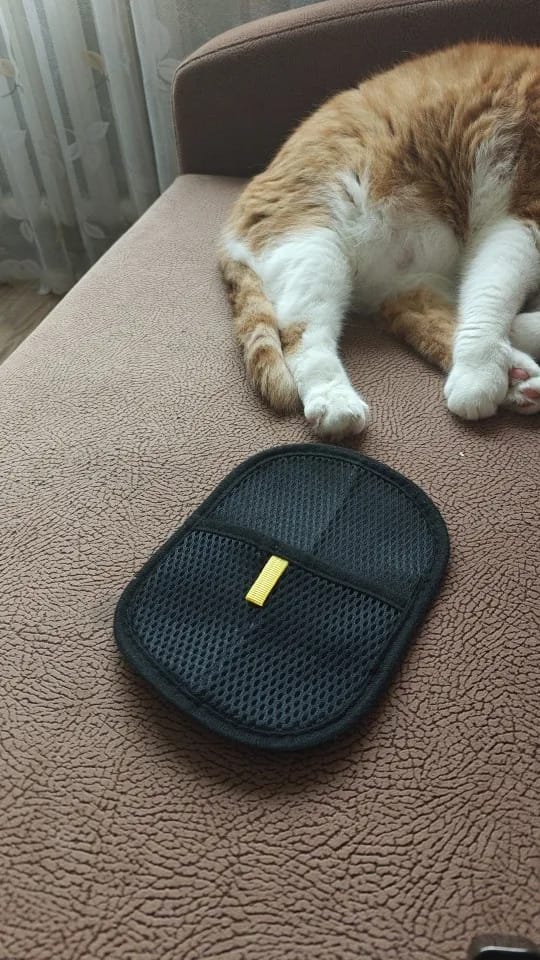Customer photo review of Double-Sided Reusable Pet Hair Removal Gloves Static-Free Grooming Tools for Pets Efficient Carpet Fur Removal