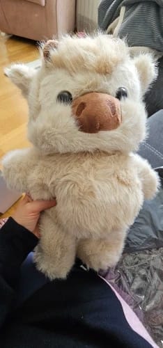 Customer photo review of Coco-Hug™ El peluche que corre