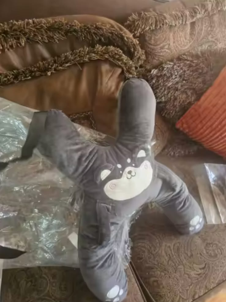 Customer photo review of Zenviro SleepSafe™ gyermek utazópárna