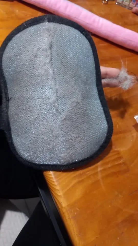 Customer photo review of Double-Sided Reusable Pet Hair Removal Gloves Static-Free Grooming Tools for Pets Efficient Carpet Fur Removal