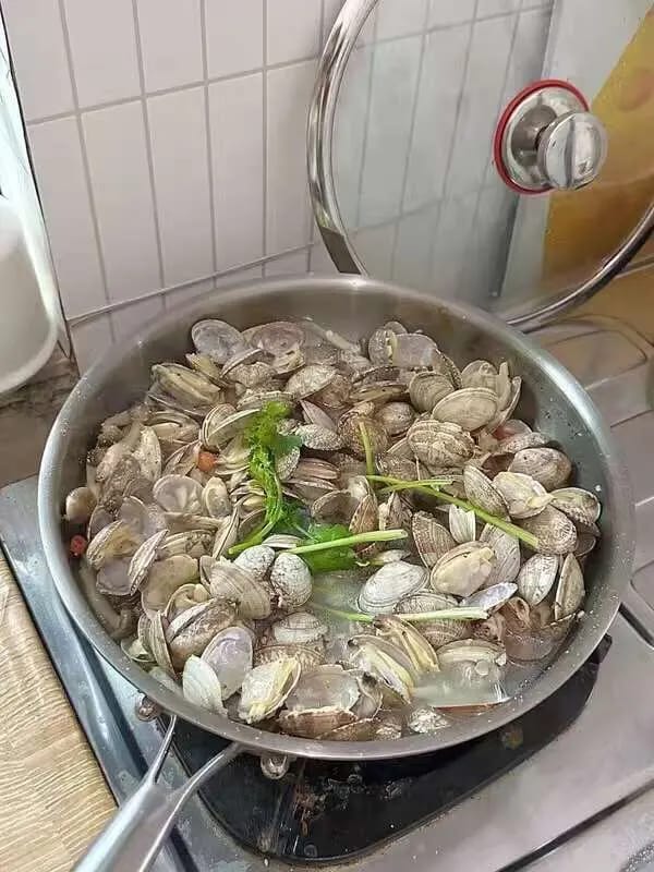 Customer photo review of Pure Titanium Pro Hammered Pan