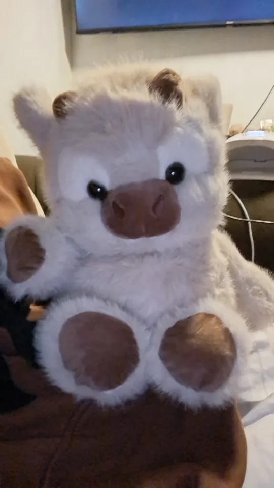 Customer photo review of Coco-Hug™ El peluche que corre