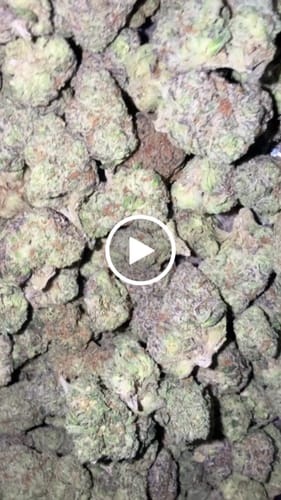 Blueberry Syrup - Bulk - Indica photo review