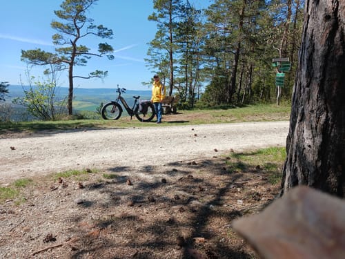 Customer photo review of Lankeleisi MG600 Plus 2025 Version 26" Fat Bike 960Wh All Terrain SUV E-Bike with Torque Sensor 48V 20Ah Battery  [Pre-order]