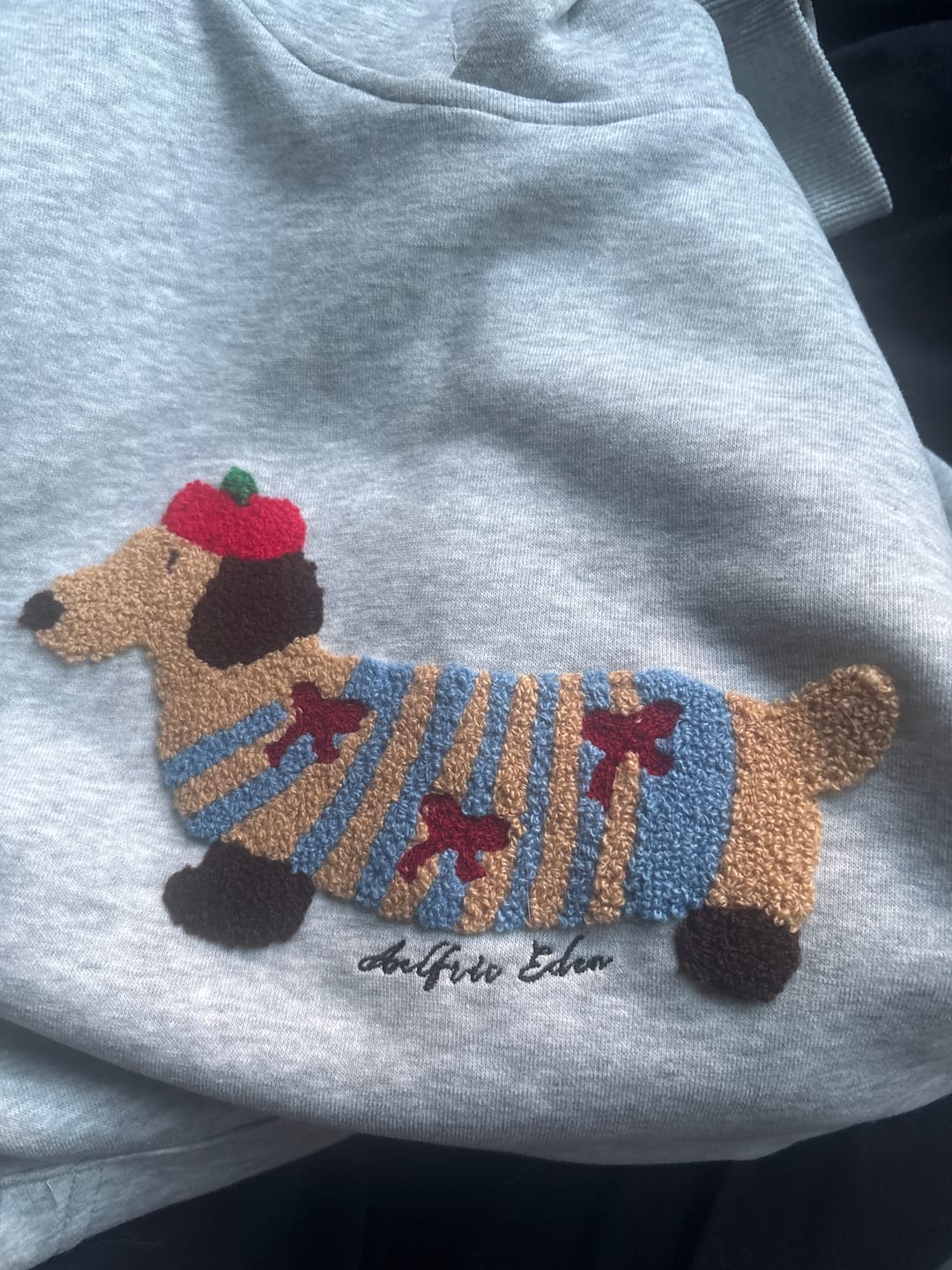 Customer photo review of Aelfric Eden Cartoon Dachshund Hoodie