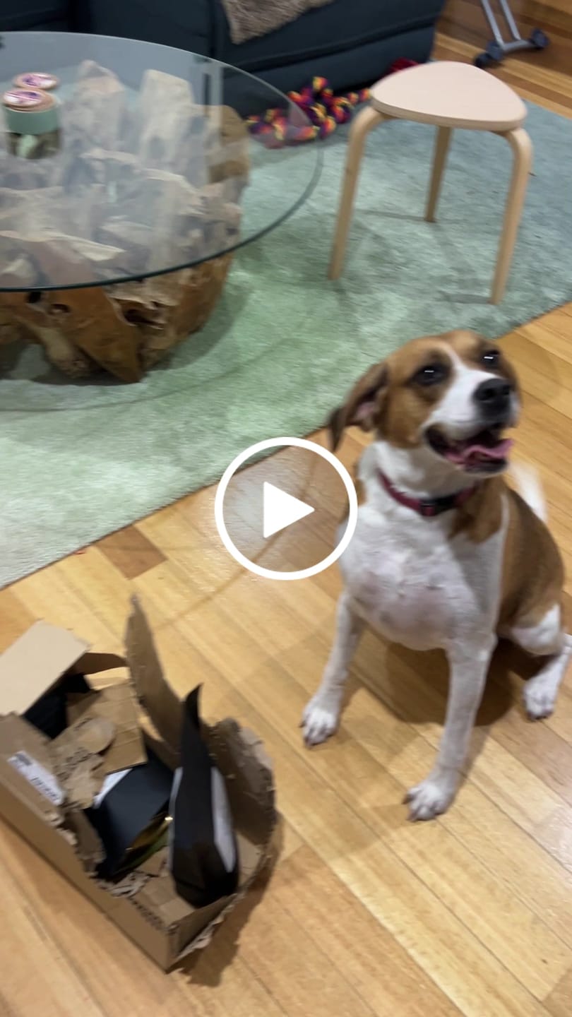 Customer video review of Coffee Beans