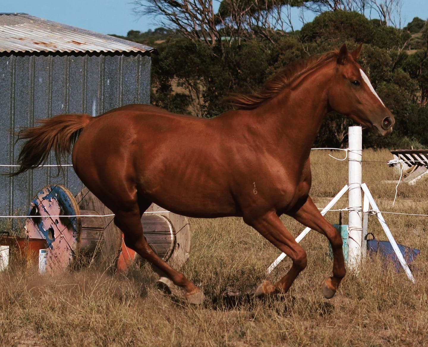 Customer photo review of Digestive EQ